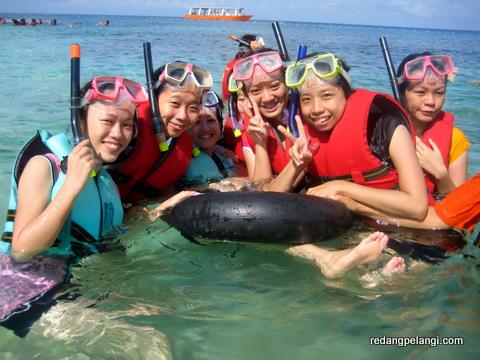 Redang Pelangi Snorkeling